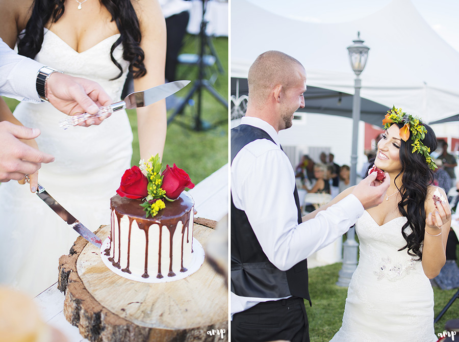 cake cutting | Palisade wedding photographer