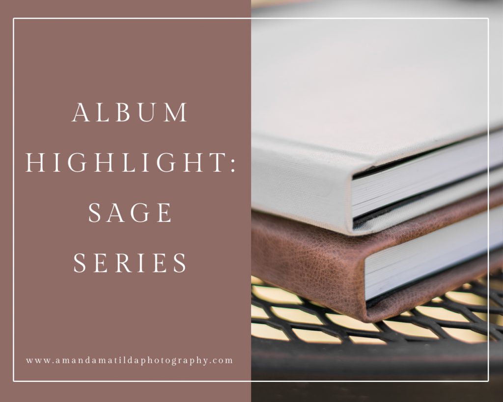 Album Highlight: Sage Series | amanda.matilda.photography