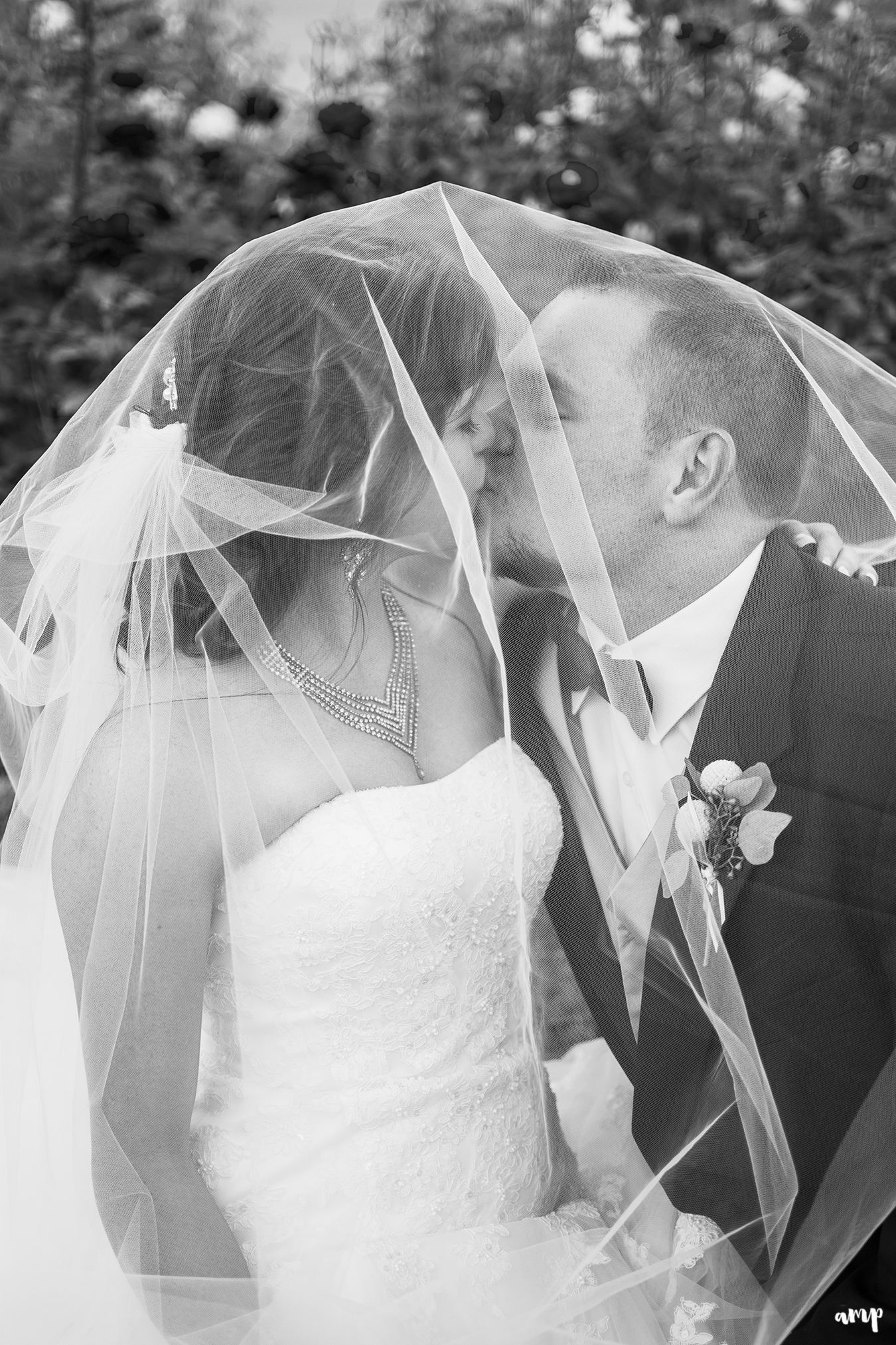 Bride and groom kissing beneath the wedding veil