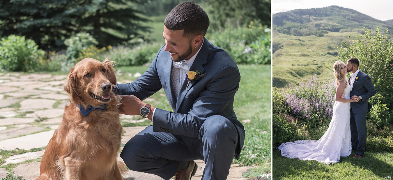 Groom puts bow tie on their dog