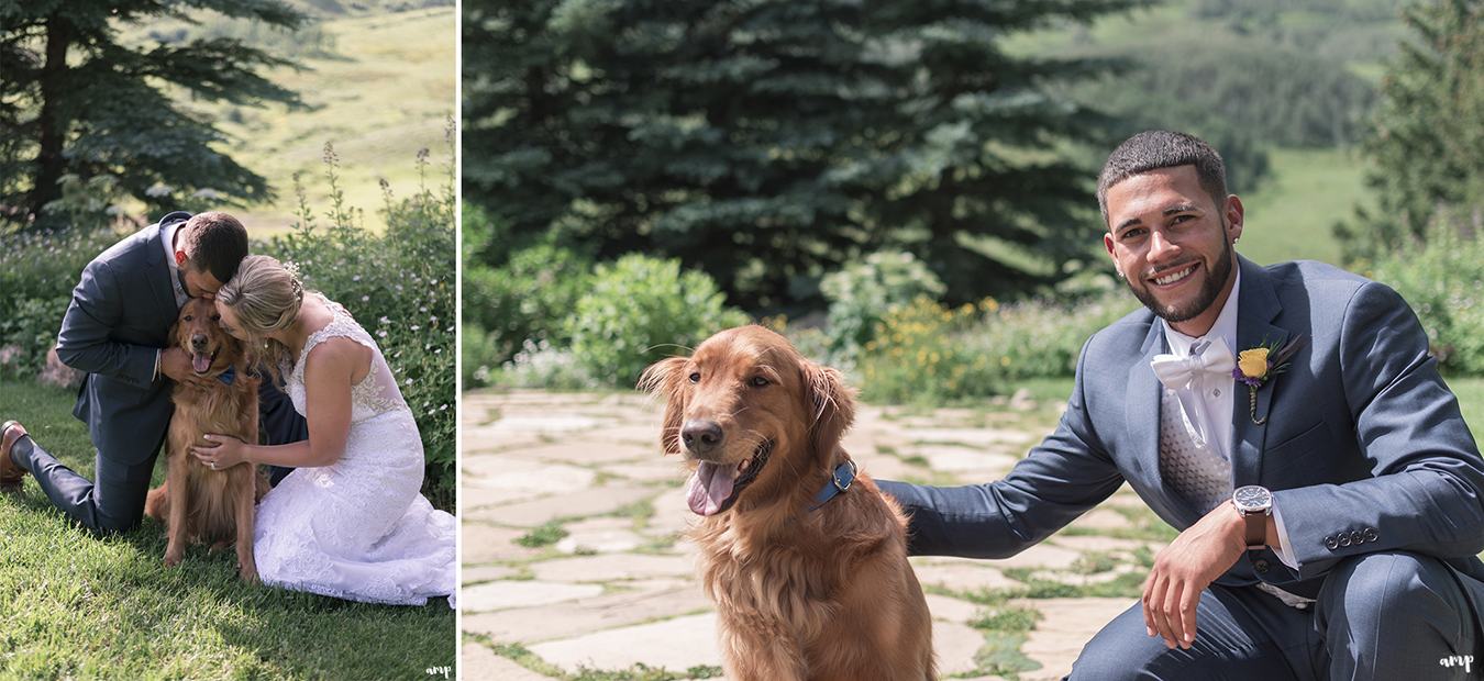 Photos with the bride and groom and their dog