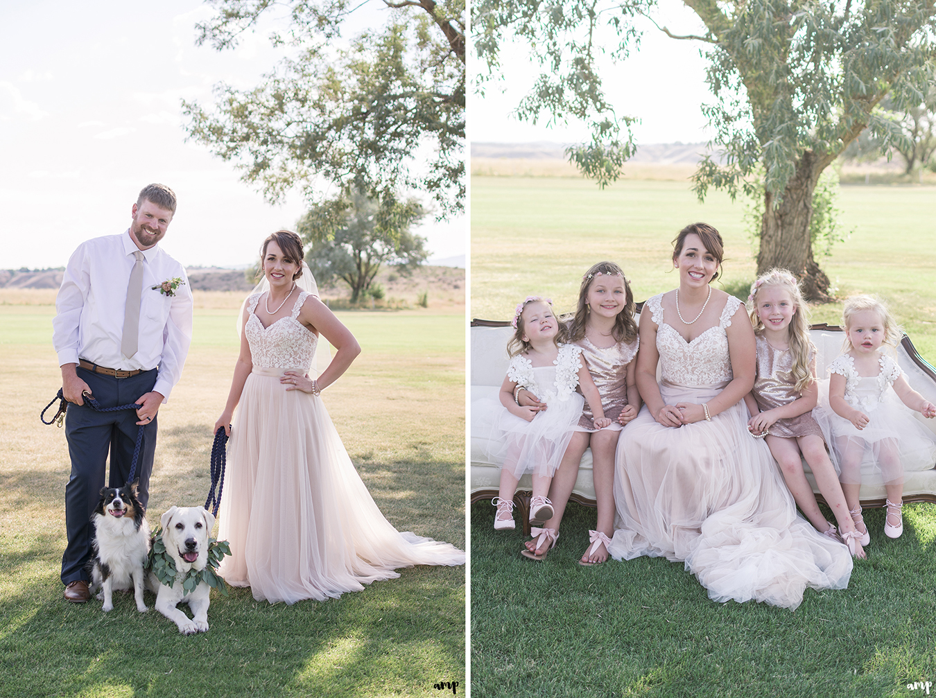 Bridal party flower girls and dogs