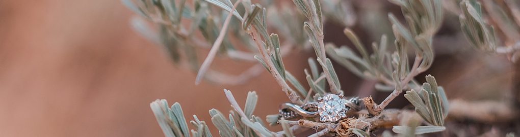 David & Kristen | Engagement Session at the Colorado National Monument